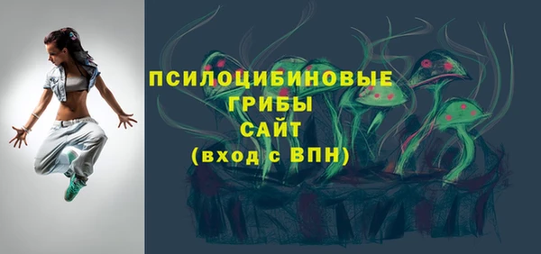 индика Пересвет
