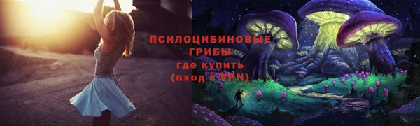 apvp Абинск