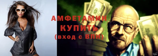 индика Пересвет