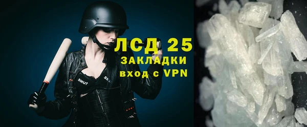 индика Пересвет