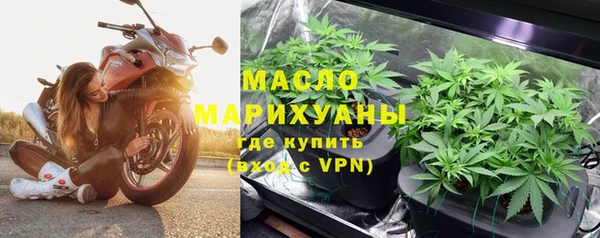 индика Пересвет