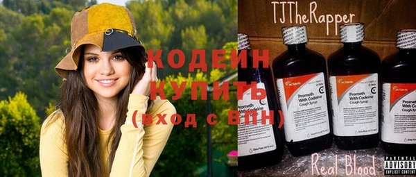 индика Пересвет