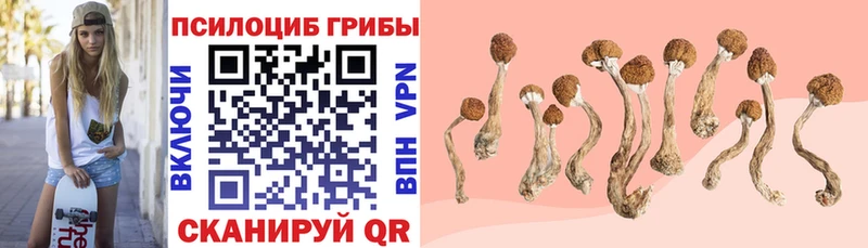 Псилоцибиновые грибы ЛСД  Лакинск 